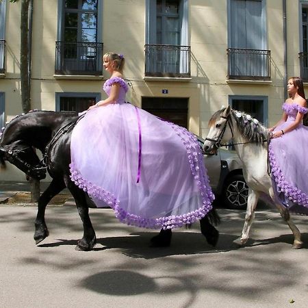 Les papillons en méditerranée Céret Exterior foto