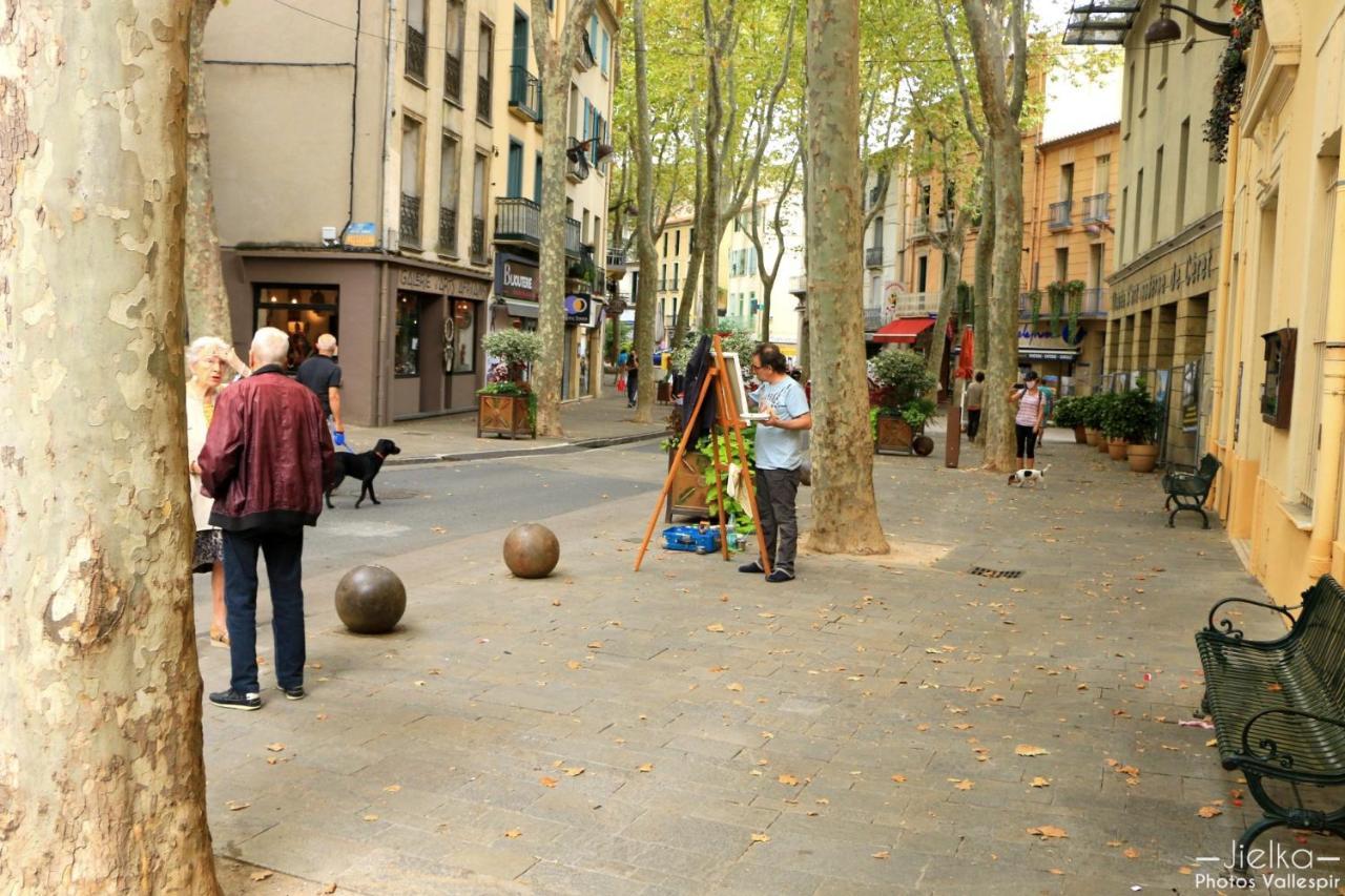 Les papillons en méditerranée Céret Exterior foto