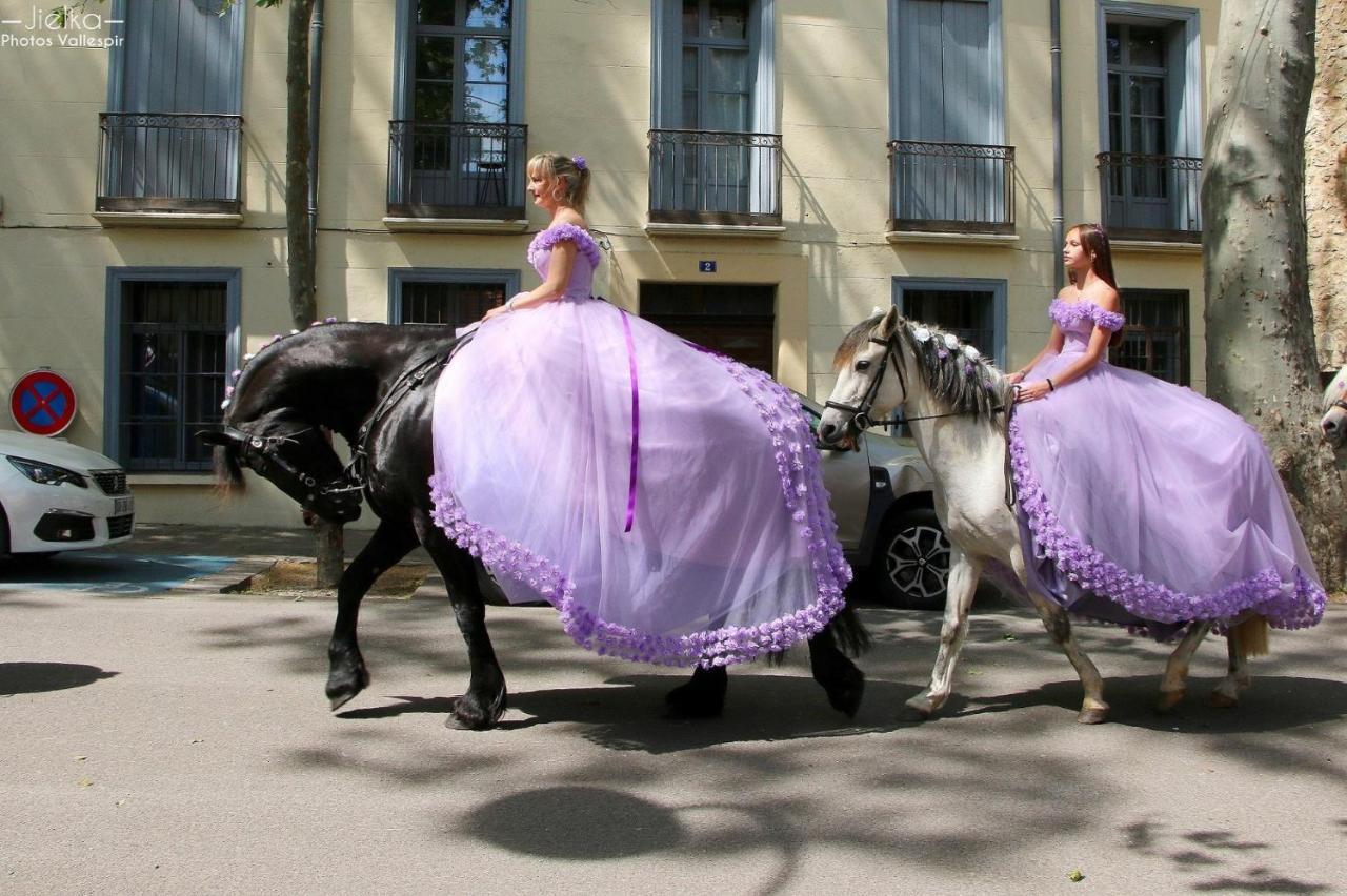 Les papillons en méditerranée Céret Exterior foto