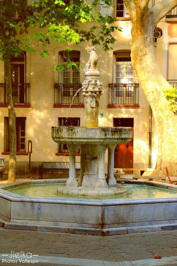 Les papillons en méditerranée Céret Exterior foto