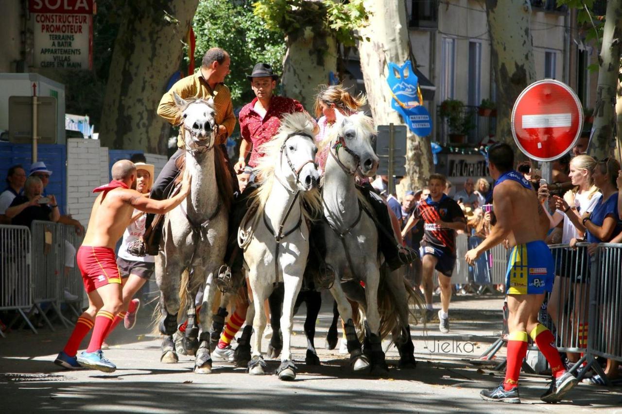 Les papillons en méditerranée Céret Exterior foto