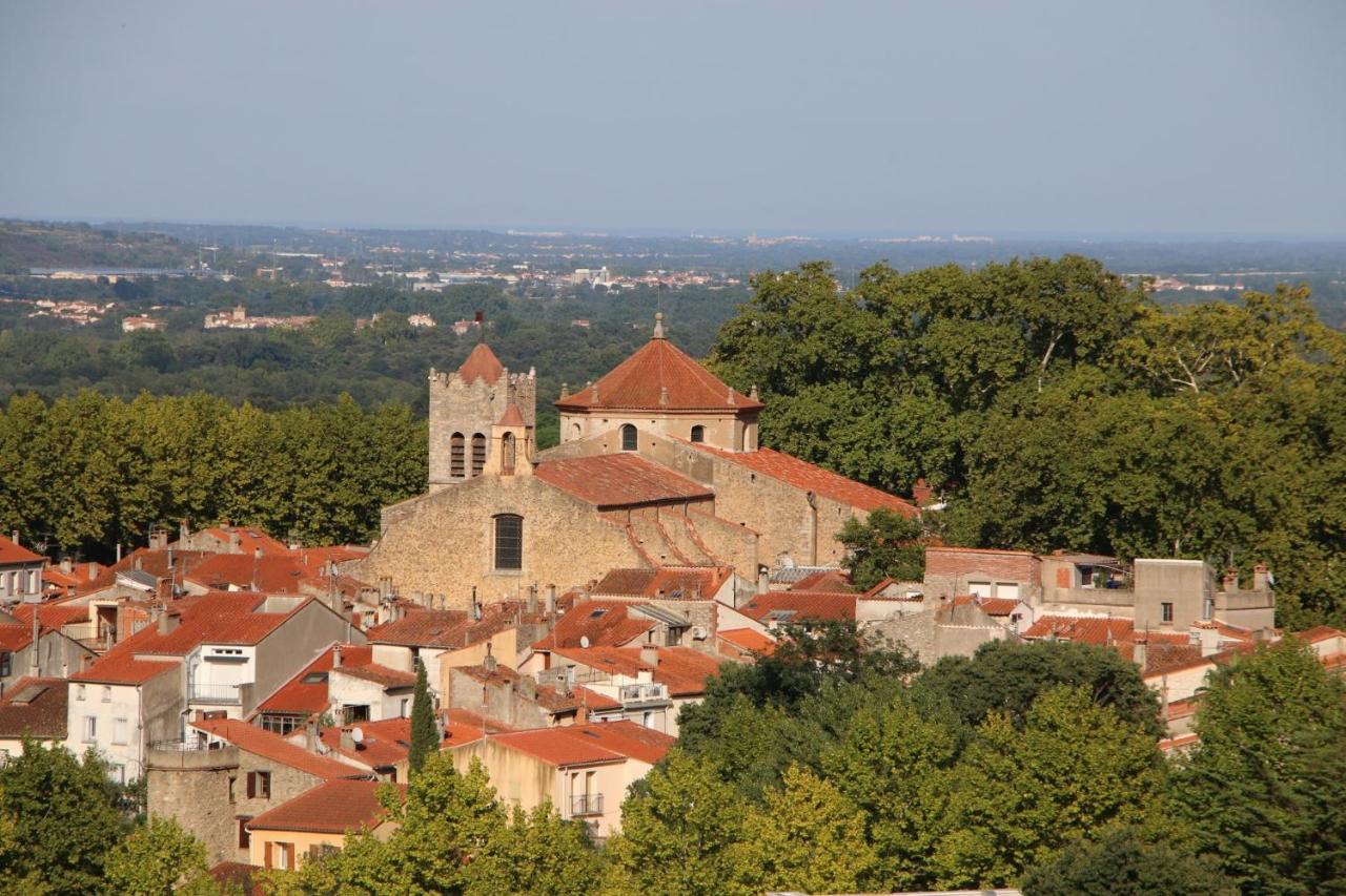 Les papillons en méditerranée Céret Exterior foto